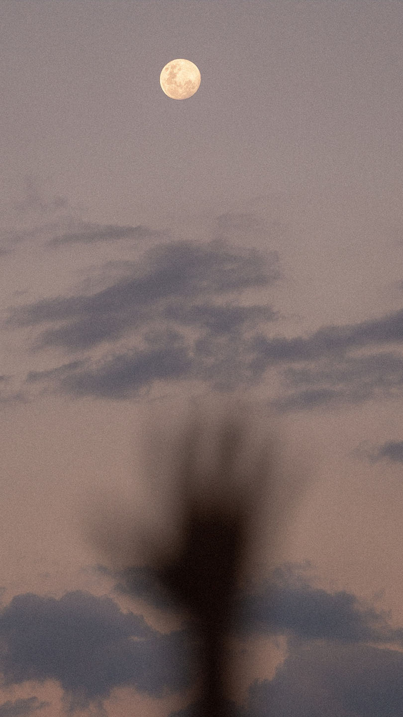 9 Fragranze Lunari