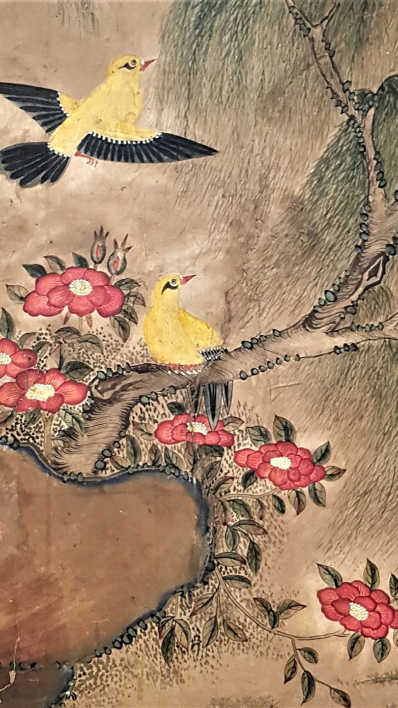 L’odore della rosa nelle diverse culture