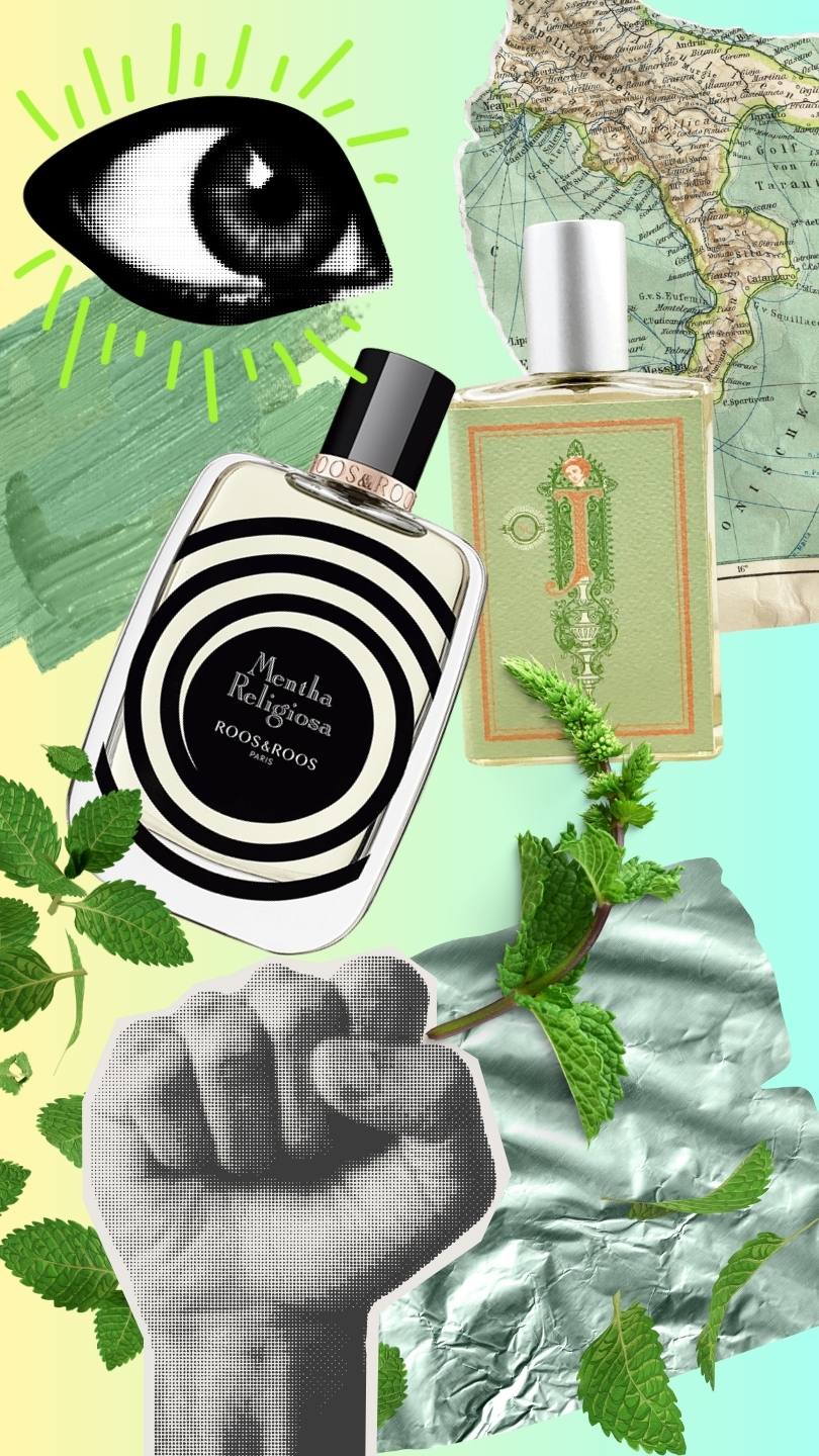 odore di menta: profumi e profilo olfattivo